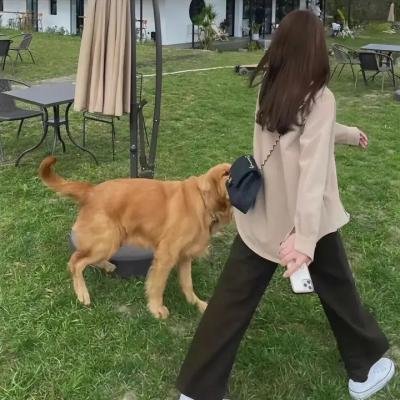 杀死爱人
